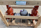 Wilkins: 10" 375AST Series RP Assembly w/ OSY Gate Valves

SKU: 10-375ASTOSY