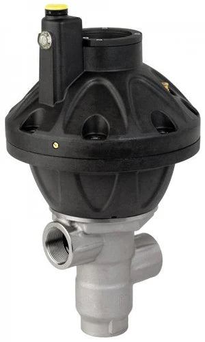 Pratissoli PN4S Pneumatic Pressure Regulator-PN4S/200